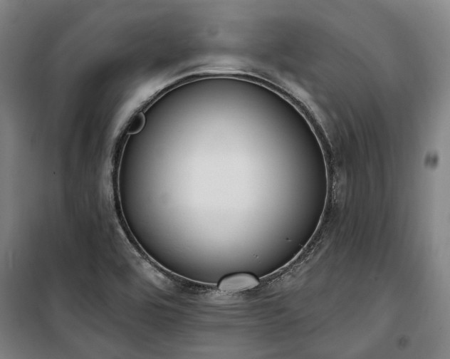 X0000100331464200806121116