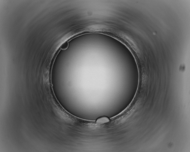 X0000100331465200806121116