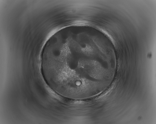 X0000100331467200806121116