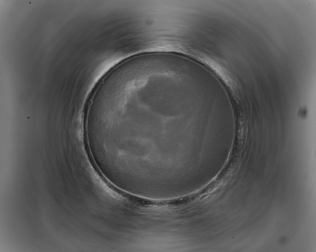 X0000100331468200806121116