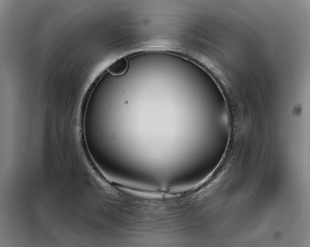 X0000100331469200806121116