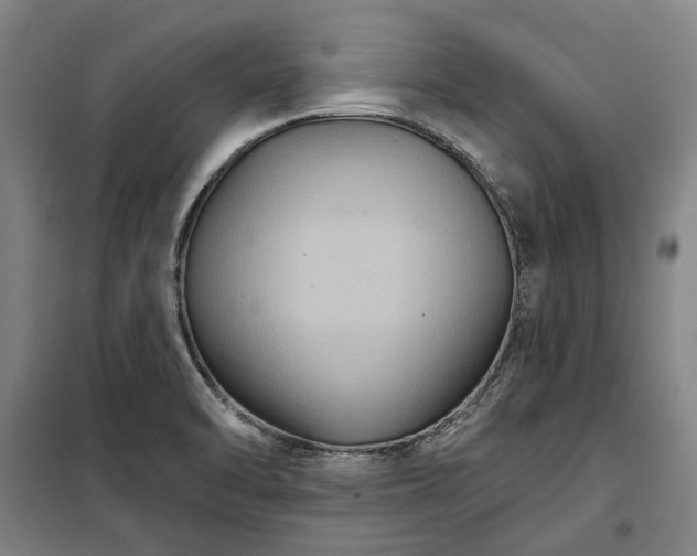 X0000100331470200806121116