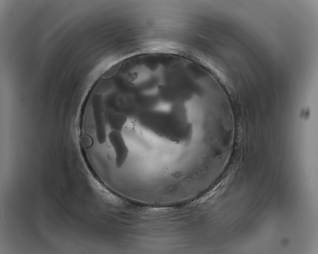 X0000100331471200806121116