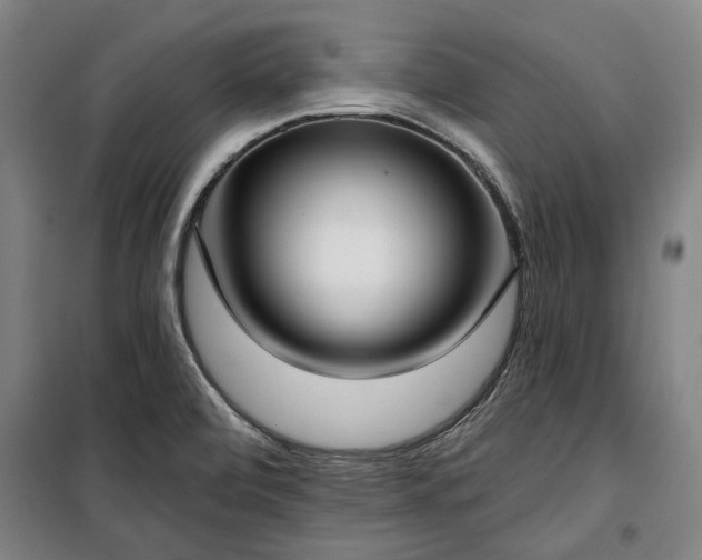 X0000100331472200806121116