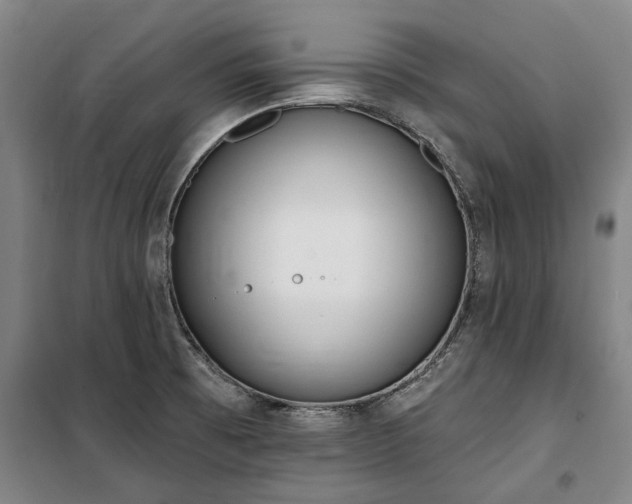 X0000100331473200806121116