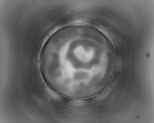 X0000100331474200806121116