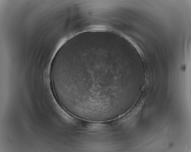 X0000100331475200806121116