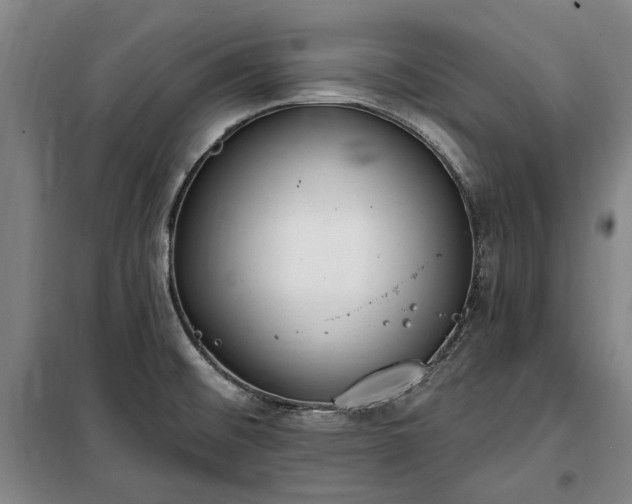 X0000100331476200806121116