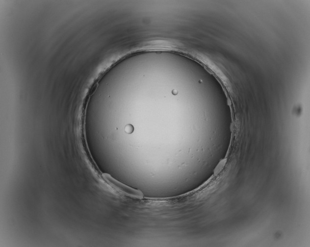 X0000100331477200806121116