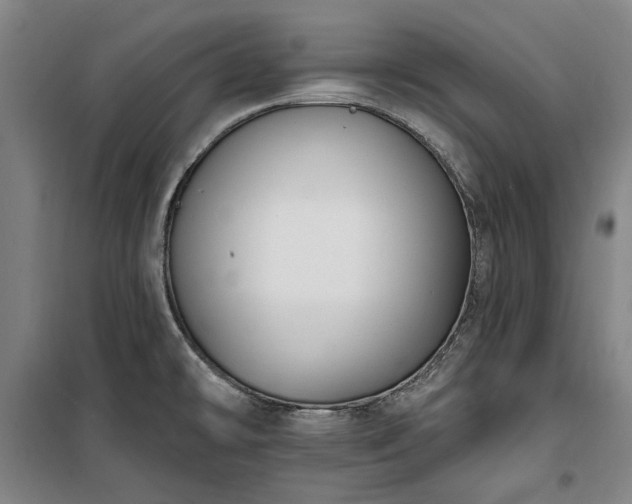 X0000100331478200806121116