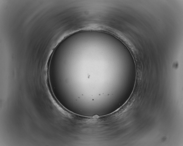 X0000100331479200806121116