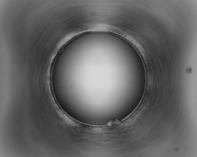 X0000100331480200806121116