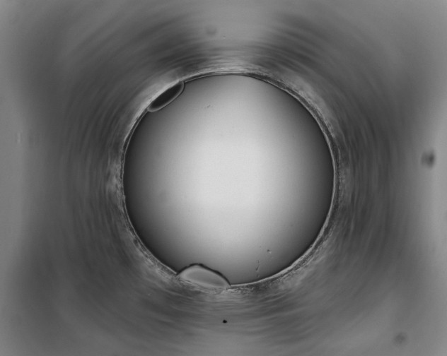 X0000100331481200806121116