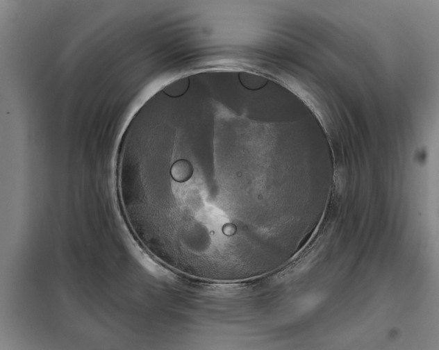 X0000100331482200806121116