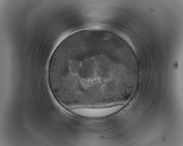 X0000100331483200806121116