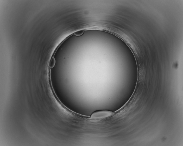 X0000100331484200806121116