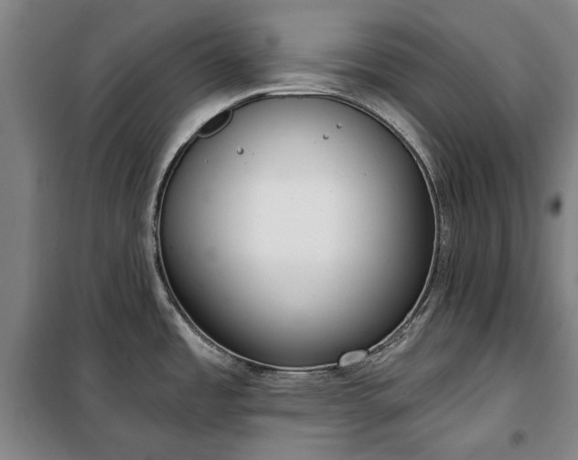 X0000100331485200806121116