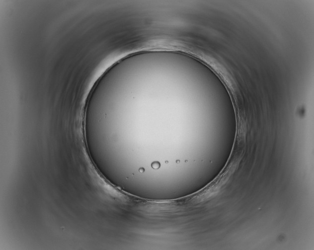 X0000100331486200806121116