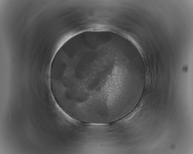 X0000100331487200806121115