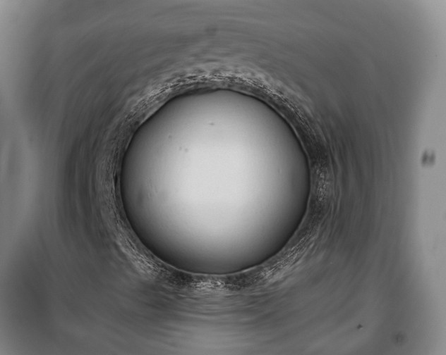 X0000100331489200806121115