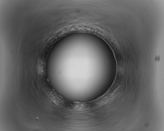 X0000100331490200806121115