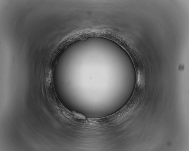 X0000100331492200806121115