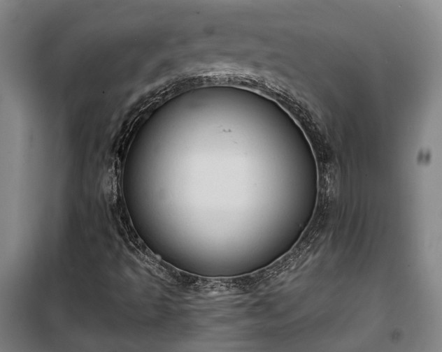 X0000100331493200806121115