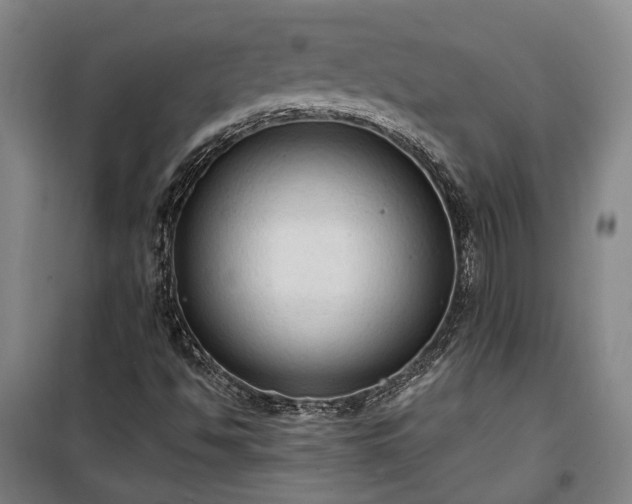 X0000100331494200806121115