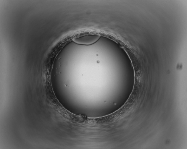 X0000100331495200806121115