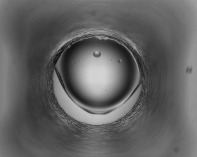 X0000100331496200806121115