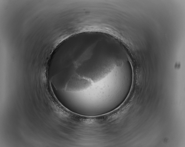 X0000100331497200806121115