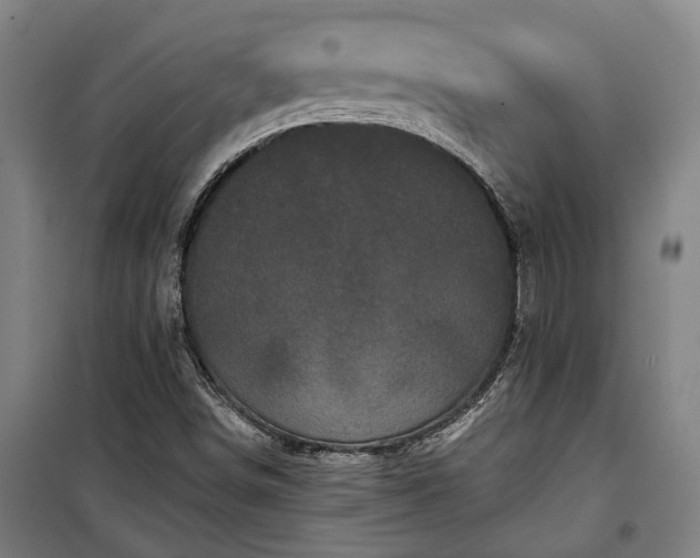 X0000100331498200806121115