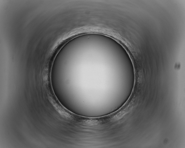 X0000100331499200806121115