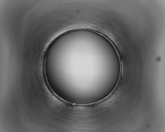 X0000100331500200806121115