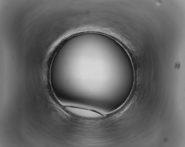 X0000100331502200806121115