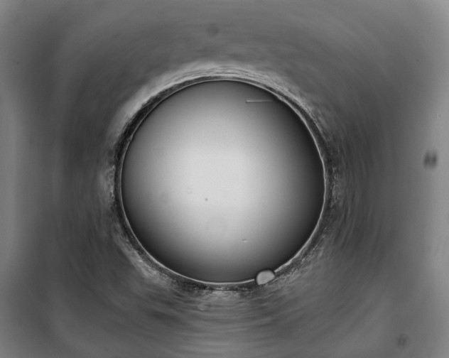 X0000100331503200806121115