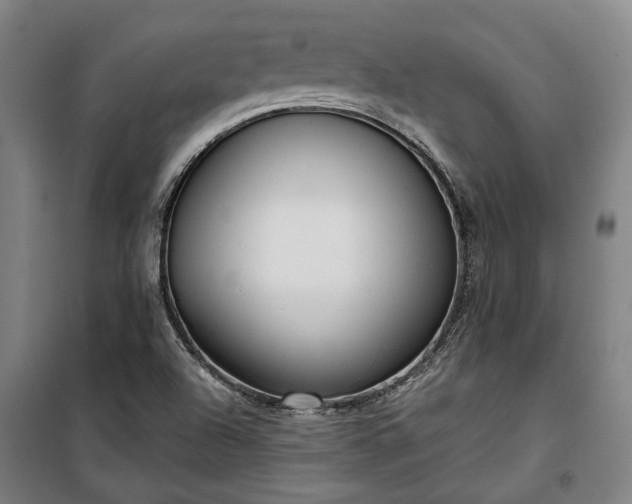 X0000100331504200806121115