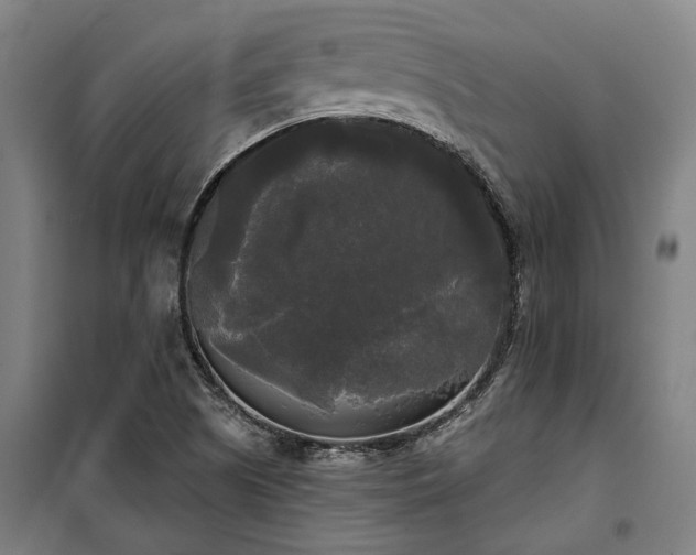 X0000100331505200806121115