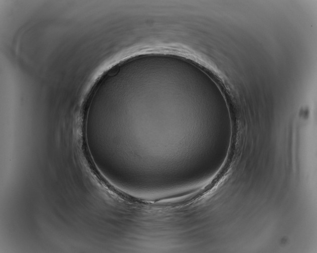 X0000100331506200806121115