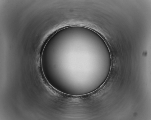 X0000100331507200806121115