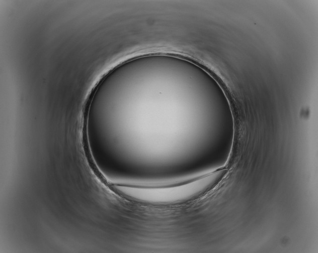 X0000100331508200806121115