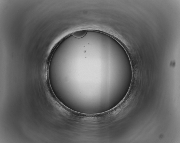 X0000100331510200806121115