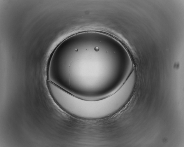 X0000100331512200806121115