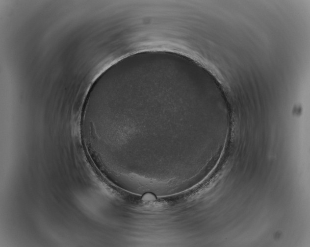 X0000100331513200806121115