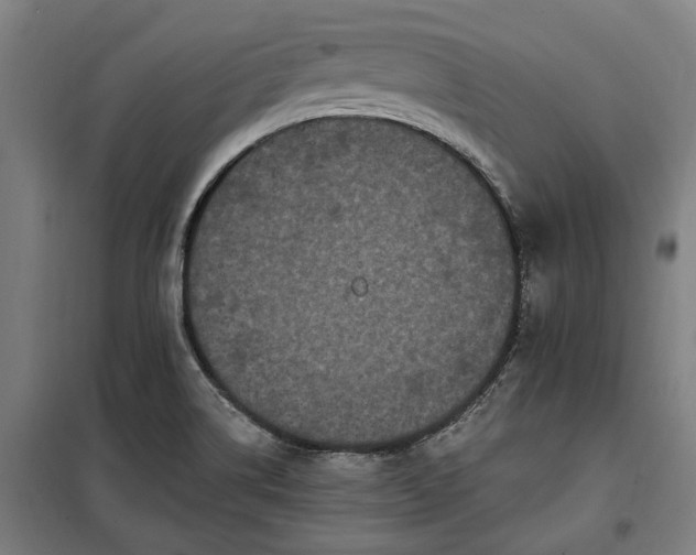 X0000100331514200806121115