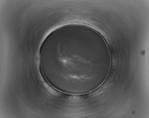 X0000100331515200806121115