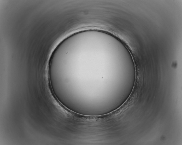 X0000100331516200806121115