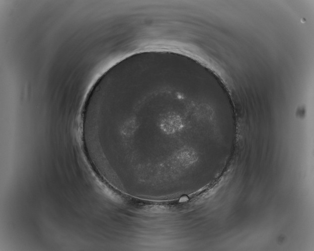 X0000100331517200806121115