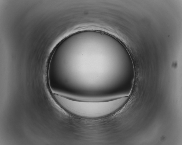 X0000100331518200806121115