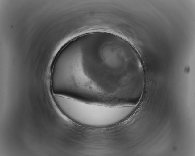 X0000100331519200806121115